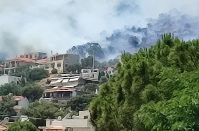  Φωτιά στη Λούτσα κοντά σε σπίτια (video)
