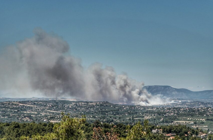  ΕΚΤΑΚΤΟ: Φωτιά στο Σχηματάρι – Εκκενώνεται το Δήλεσι (video)