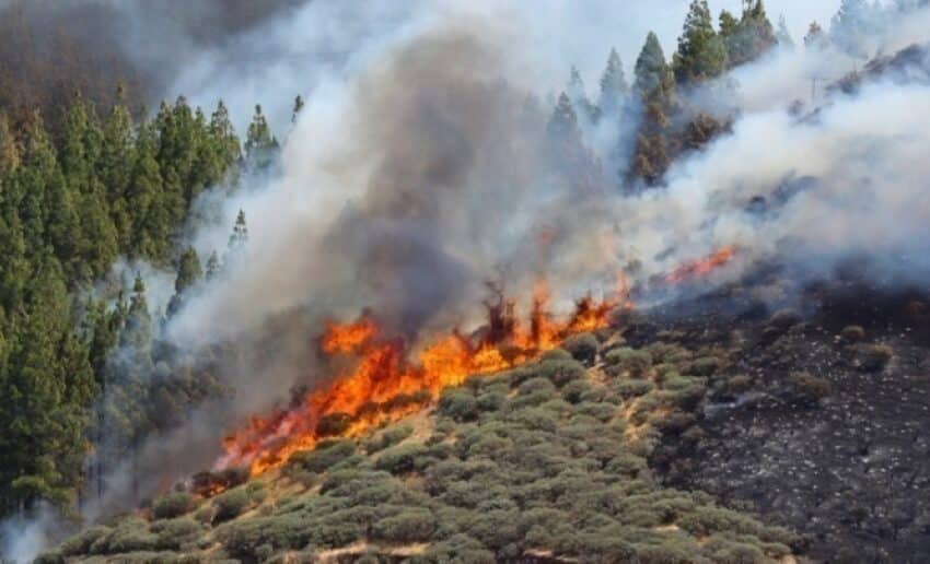  Συνεχίζεται η φωτιά στην Ηλεία – Υψηλός κίνδυνος για σήμερα σε πέντε Περιφέρειες