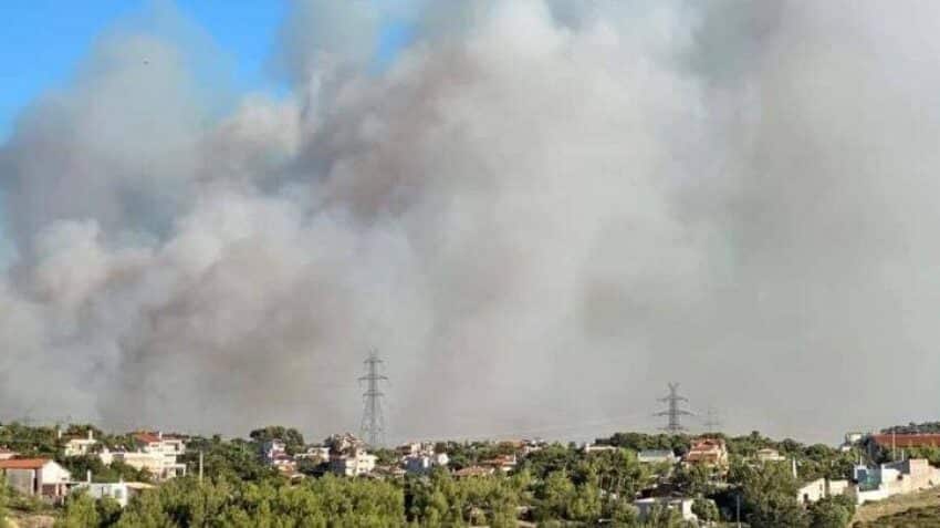  Είδη για τα αδέσποτα της πυρκαγιάς συλλέγει το ΠΑΣΟΚ Ηρακλείου