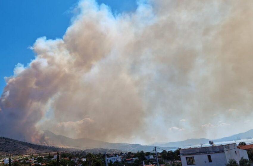  ΕΚΤΑΚΤΟ – Μεγάλη πυρκαγιά στη θέση “Τρικέρι” του οικισμού Βλυχάχας,στην Ν.Πέραμο Μεγάρων