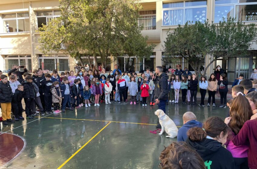  Δήμος Ηρακλείου Αττικής: Προώθηση φιλοζωίας στα σχολεία