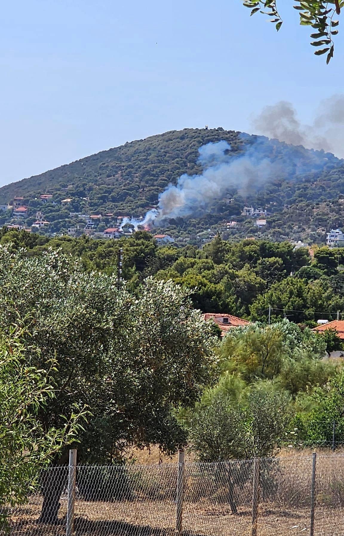 Φωτιά στην Αρτέμιδα (video)