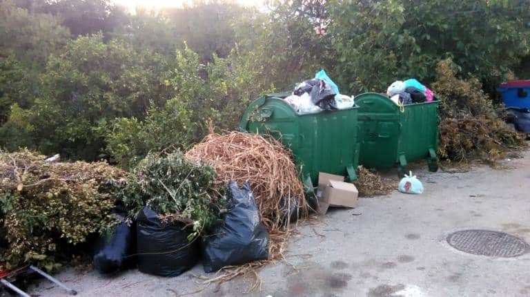  Δήμος Χαλανδρίου: Έκκληση για περιορισμό απόρριψης κλαδεμάτων