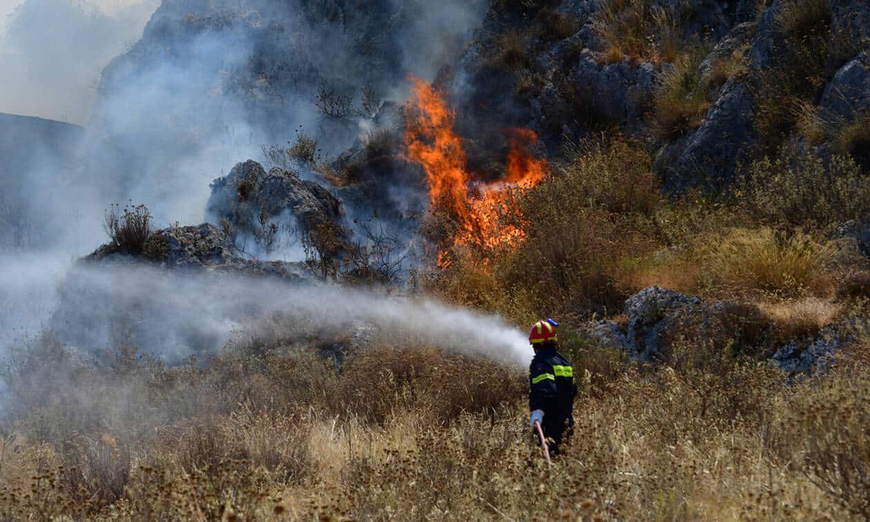 Πυρκαγιές: Νέα συγκέντρωση σήμερα στο Σύνταγμα