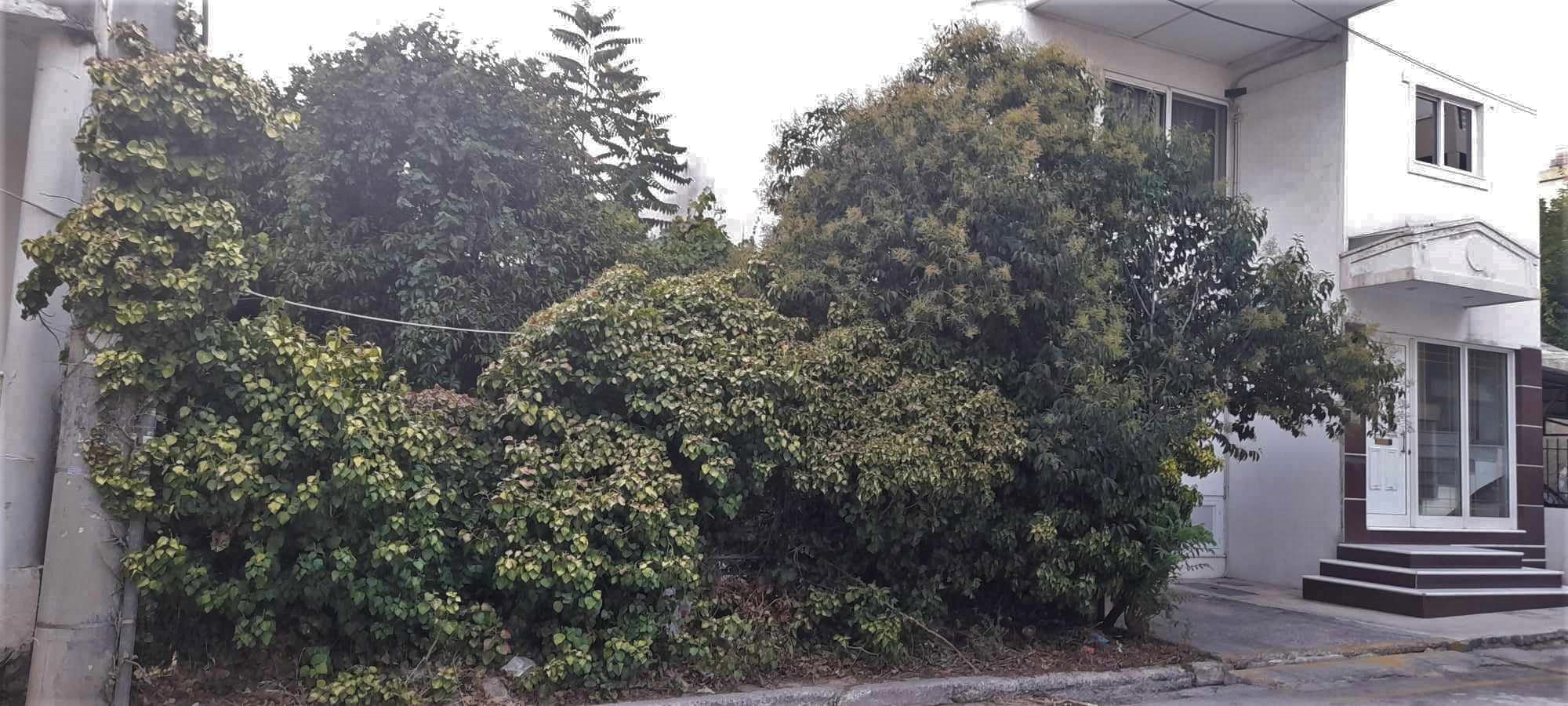 Εστία μόλυνσης σε γειτονιά στην Καλογρέζα