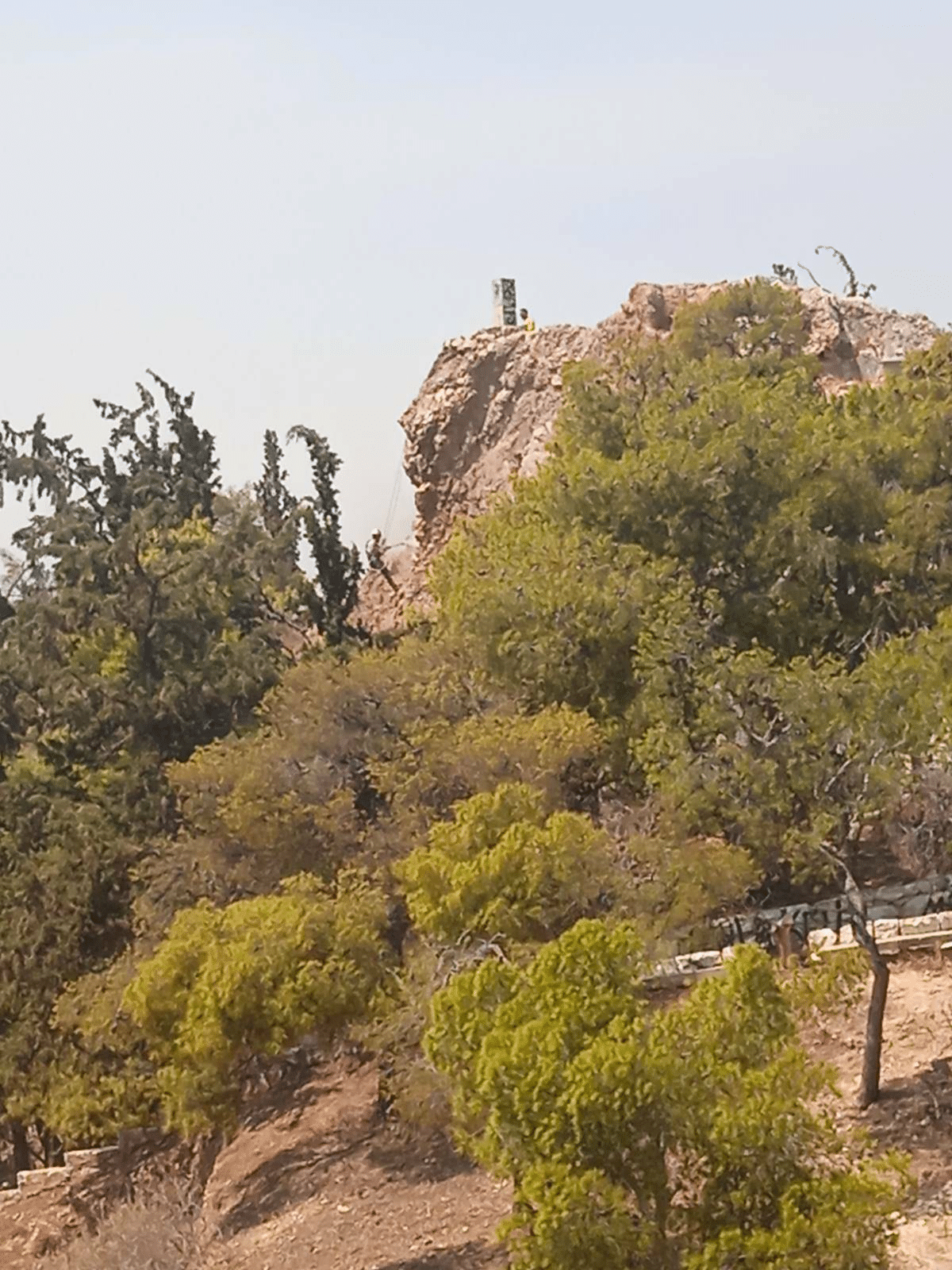 Λόφος Στρέφη: ΜΑΤ απαγόρευαν την είσοδο στον Δασάρχη (video)