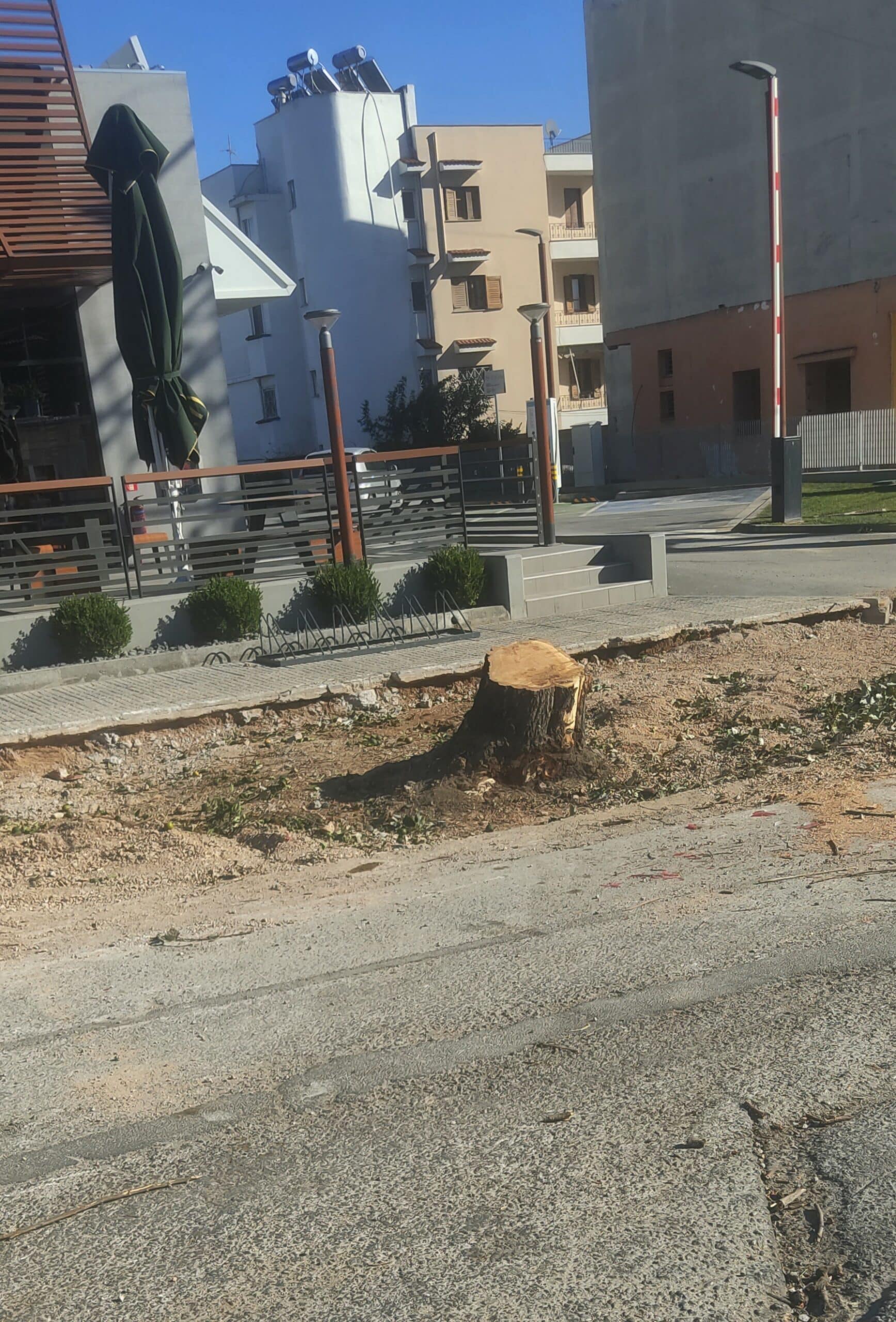 Άλλο ένα δέντρο θύμα της μανίας της διοίκησης Σαραούδα!