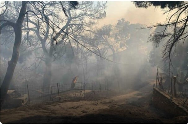  Φωτιά: Εκκενώνεται το Πάτημα Χαλανδρίου και Βριλησίων