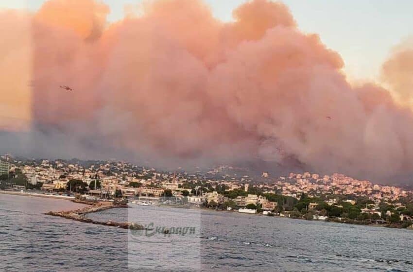  ΜεΡΑ25: Επανασύσταση τώρα της δασικής υπηρεσίας