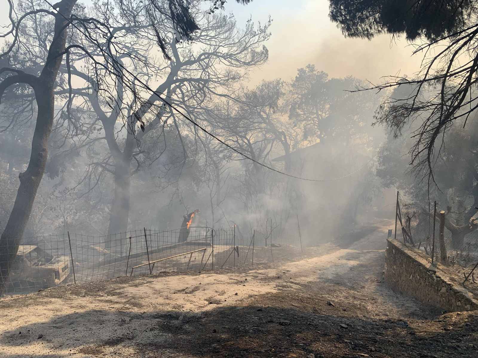 Εκτός ελέγχου η φωτιά στη Χίο - Σενάρια εμπρησμού για τα τρία ταυτόχρονα μέτωπα