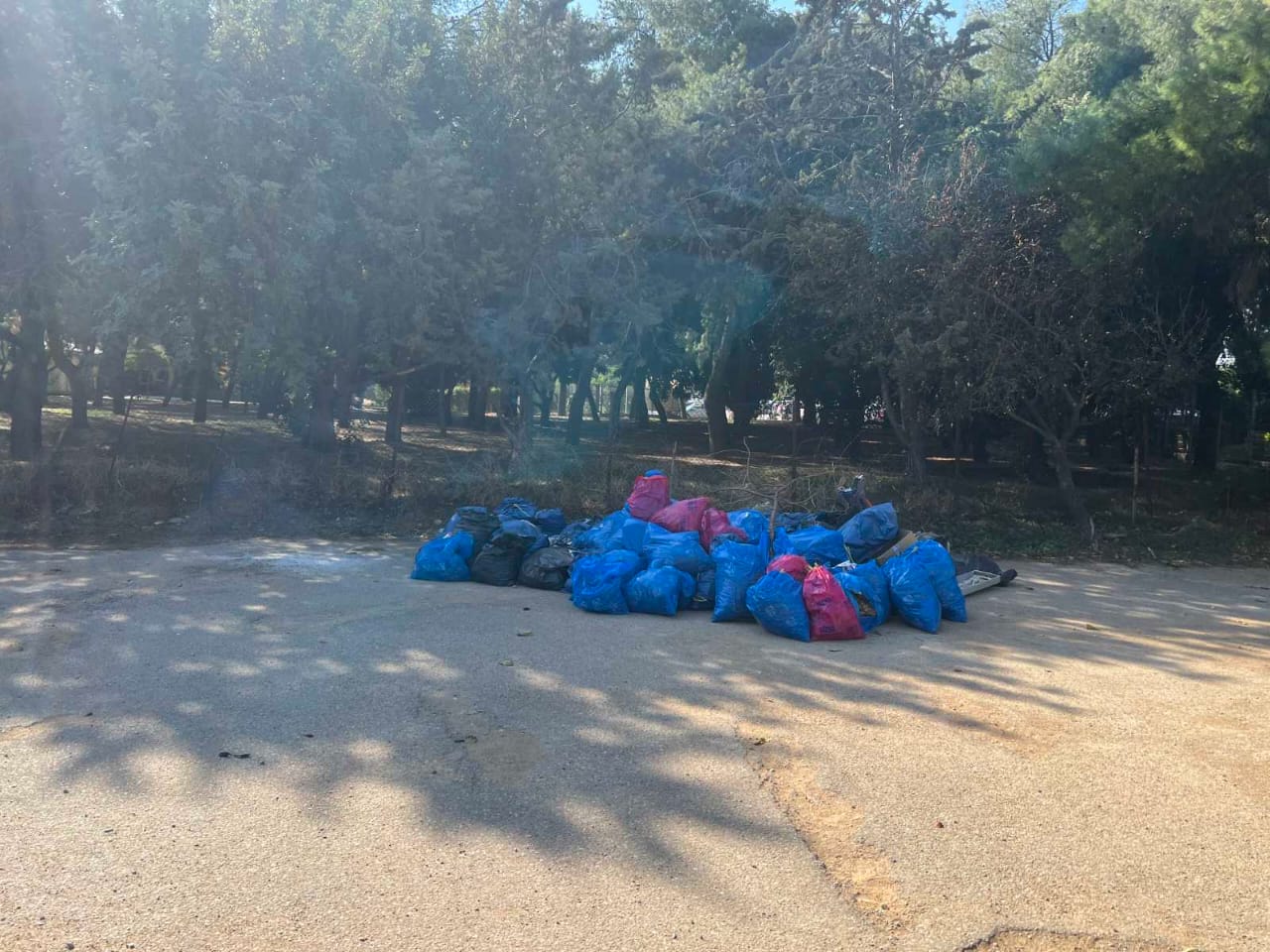 Εθελοντική δράση καθαρισμού στο Άλσος Βεΐκου