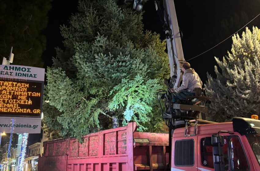 Σε χριστουγεννιάτικους ρυθμούς η Νέα Ιωνία - Το Σάββατο η φωταγώγηση του δέντρου