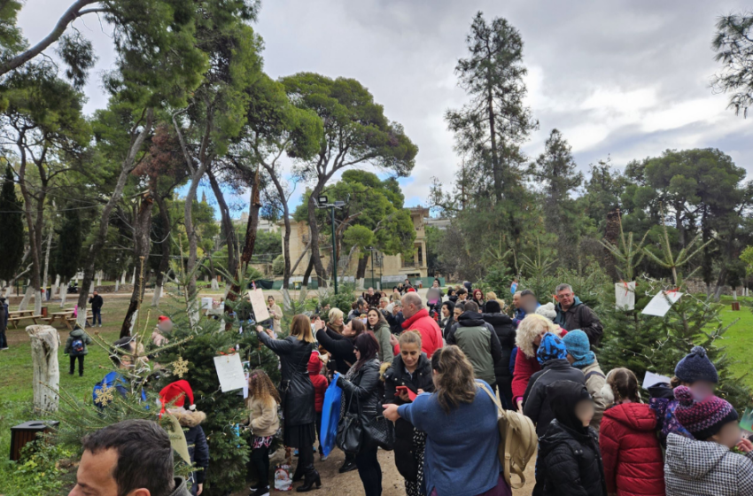 Δράση για παιδιά με στολισμό ελάτων στο κτήμα Φιξ