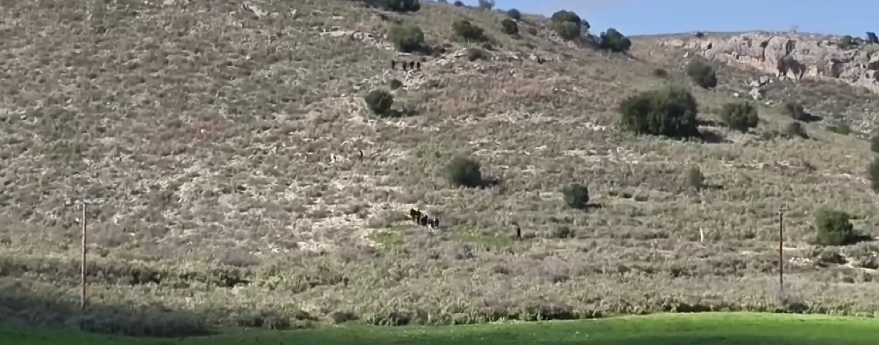 Β. Καλογήρου: Η Εισαγγελία ζητά να αναλάβει το Ανθρωποκτονιών