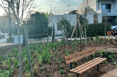 Γ. Σταθόπουλος: Χωρίς πλατεία τα Πευκάκια!