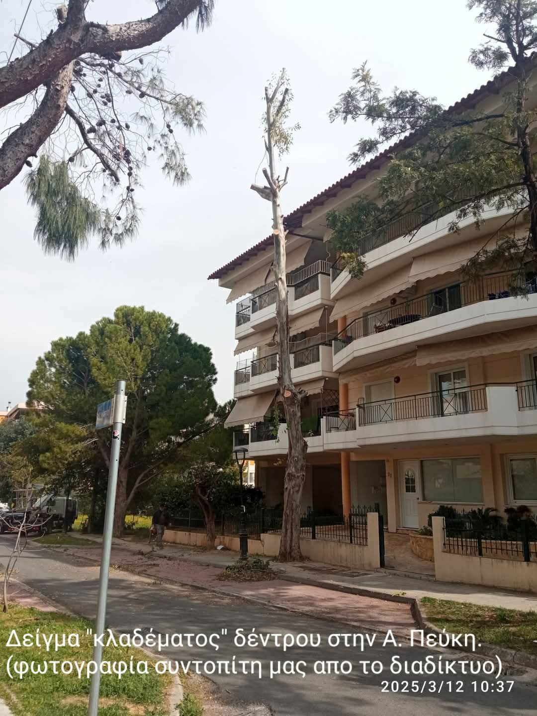 Πρωτοβουλία Πολιτών: Και εμείς εθελοντές πρασίνου