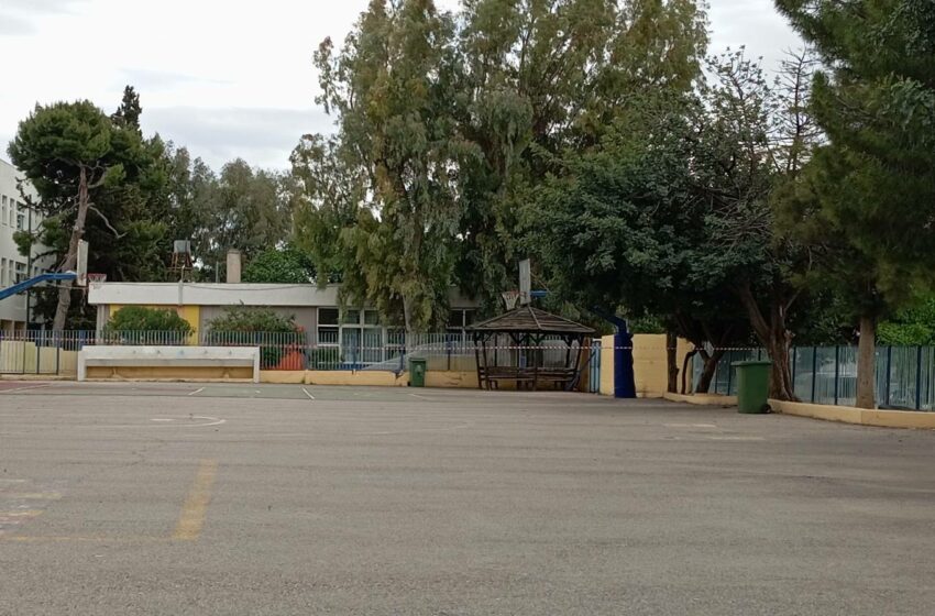 Αποκλεισμένο το μισό προαύλιο γιατί δεν κλαδεύουν το δέντρο