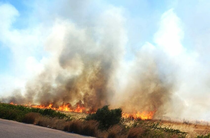 Μεγάλη φωτιά στη Ριτσώνα – Επιχειρούν και εναέρια μέσα