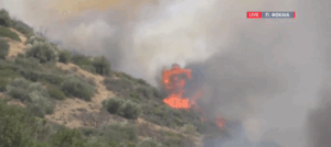 Πάρνηθα: Σε ύφεση η φωτιά στη θέση Μαυροβούνι