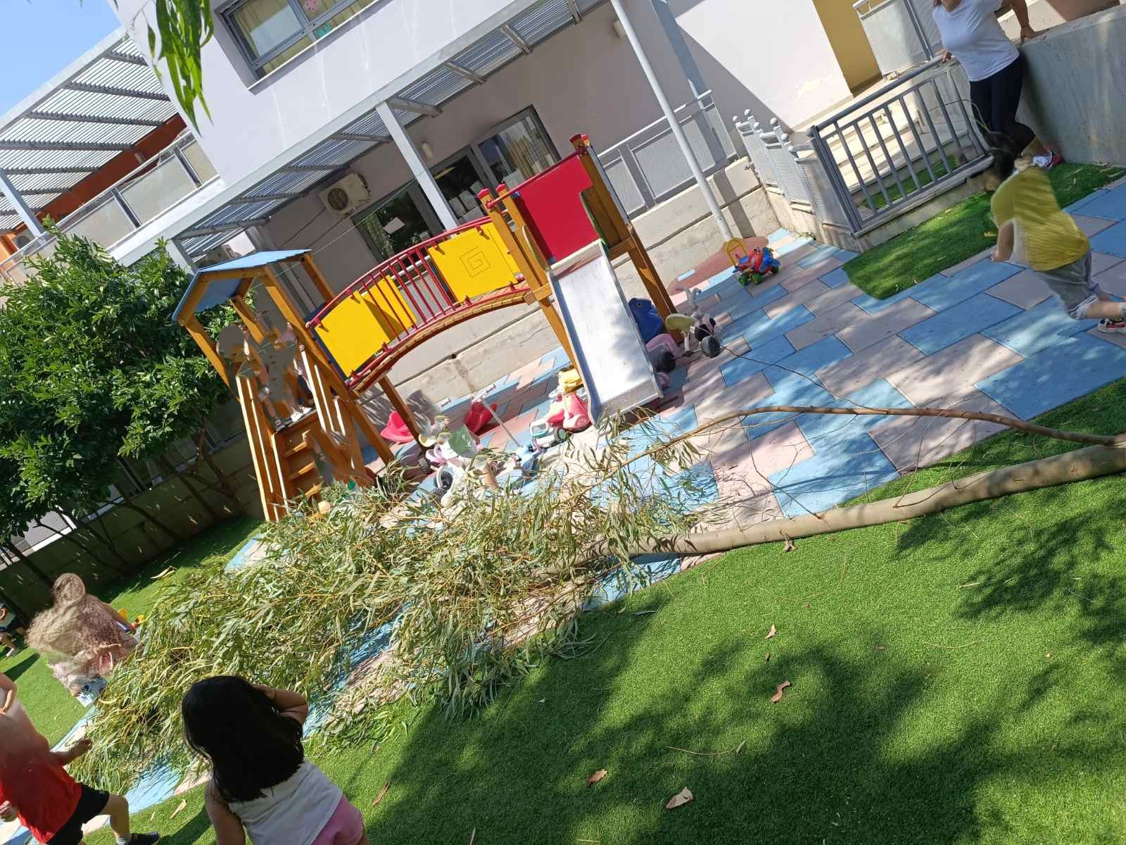 Ανακοίνωση του Συλλόγου Γονέων 1ου Βρεφονηπιακού για την πτώση κλαδιών