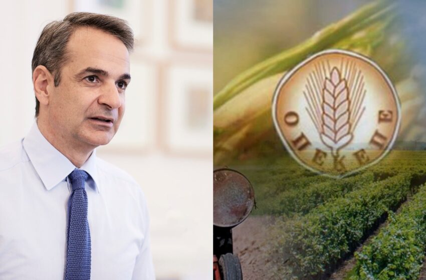 ΟΠΕΚΕΠΕ: Αυτά δεν αποκαλούνται απλά συγκάλυψη, αλλά όνειδος και ευτελισμός των θεσμών