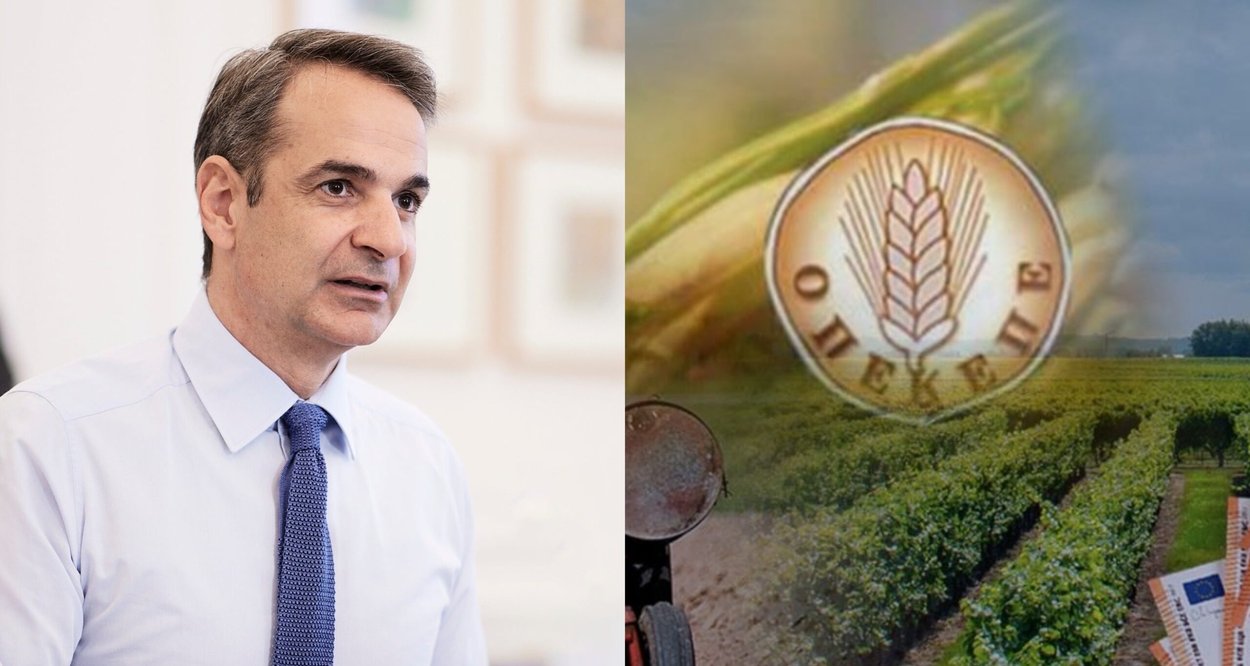 ΟΠΕΚΕΠΕ: Αυτά δεν αποκαλούνται απλά συγκάλυψη, αλλά όνειδος και ευτελισμός των θεσμών