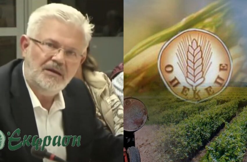  Γ. Οικονόμου για ΟΠΕΚΕΠΕ: Ούτε η ΑΑΔΕ έκανε τη δουλειά της