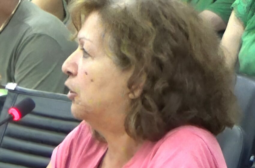  Αθ. Λυκουρέση: Βάζουμε συνέχεια πλάτη, αλλά τα προβλήματα μεγαλώνουν (video)
