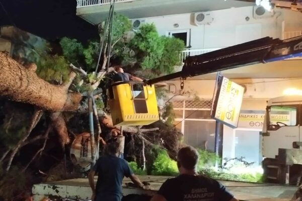 Απομακρύνθηκε δέντρο που έπεσε από τους ανέμους στο Χαλάνδρι