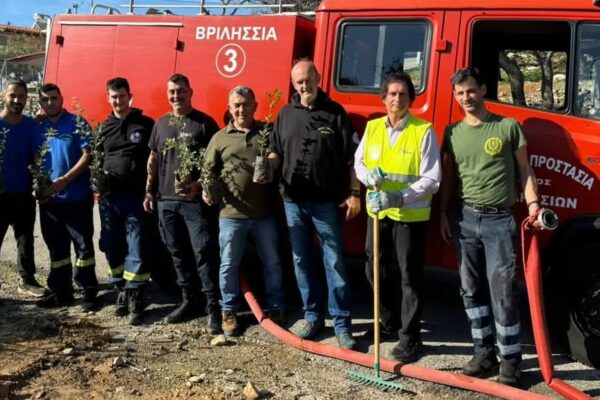 Στα Βριλήσσια συνεχώς φυτεύουν