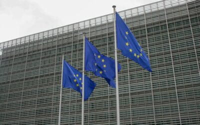 Έφοδος της Ευρωπαϊκής Υπηρεσίας OLAF στον ΟΠΕΚΕΠΕ