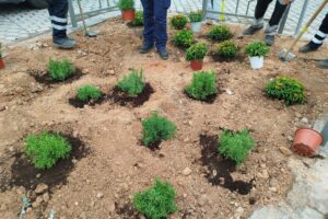 Καισαριανή: Επεκτείνουμε το πράσινο
