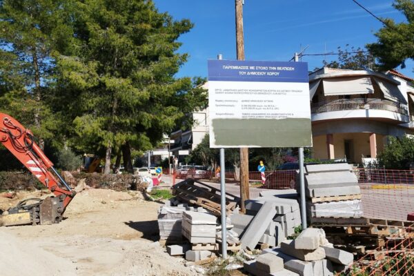 Νέα διαμαρτυρία για τις κοπές δέντρων στο Ηράκλειο - Ο Δήμος επιχειρεί να κατευνάσει αντιδράσεις