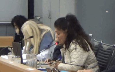 Ασ. Παναγιωτακοπούλου: Γιατί αυξάνουμε τον Φόρο Ηλεκτροδοτούμενων Χώρων (vid)