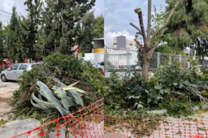 Τα αλυσοπρίονα πήραν «φωτιά» στο Ηράκλειο: «Καταστρέφουν τη γειτονιά μας»