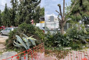 Τα αλυσοπρίονα πήραν «φωτιά» στο Ηράκλειο: «Καταστρέφουν τη γειτονιά μας»