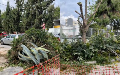 Τα αλυσοπρίονα πήραν «φωτιά» στο Ηράκλειο: «Καταστρέφουν τη γειτονιά μας»