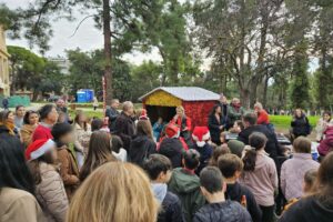 Μαθητές της πόλης στόλισαν έλατα στο κτήμα Φιξ