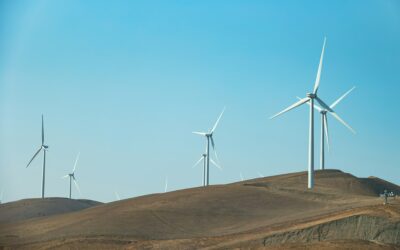 Πανελλαδική κινητοποιήση για την Παγκόσμια Ημέρα Βουνού στο Θησείο