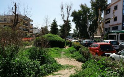 «Το πράσινο δεν είναι διακοσμητικό»: Σοβαρά ερωτήματα από την Κίνηση Πολιτών Ηρακλείου