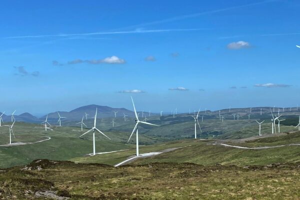 Η Νέα Αριστερά ζητά την ακύρωση όλων των αδειών για ανεμογεννήτριεςε και φωτοβολταϊκά - Τι καταγγέλλει
