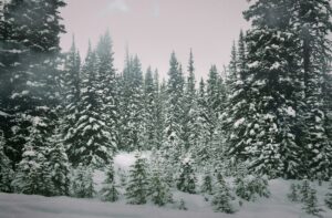 Σε εξέλιξη ο χιονιάς και στα ορεινά της Αττικής: Ποιες περιοχές έχουν ντυθεί στα λευκά