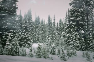 Σε εξέλιξη ο χιονιάς και στα ορεινά της Αττικής: Ποιες περιοχές έχουν ντυθεί στα λευκά