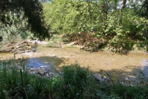 «Κηφισός, Ποδονίφτης, Γιαμπουρλάς σε κίνδυνο»: Εκδήλωση για τα ποτάμια σε Νέα Φιλαδέλφεια και Νέα Χαλκηδόνα