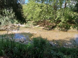 «Κηφισός, Ποδονίφτης, Γιαμπουρλάς σε κίνδυνο»: Εκδήλωση για τα ποτάμια σε Νέα Φιλαδέλφεια και Νέα Χαλκηδόνα