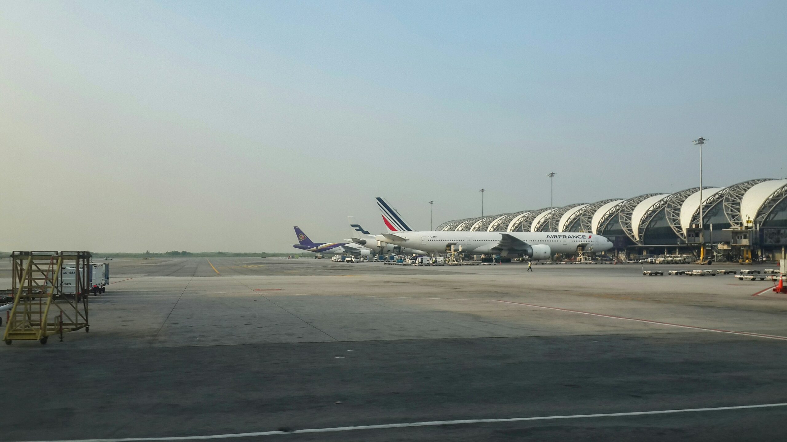 Ντουμπάι: Ακυρώθηκε η πτήση επαναπατρισμού των Ελλήνων με τα κατοικίδιά τους