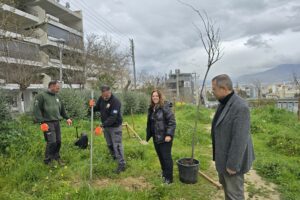 Δενδροφύτευση στην οδό Ορφέως από τον Δήμο Ηρακλείου Αττικής