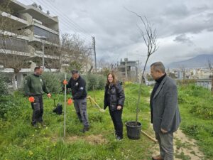Δενδροφύτευση στην οδό Ορφέως από τον Δήμο Ηρακλείου Αττικής