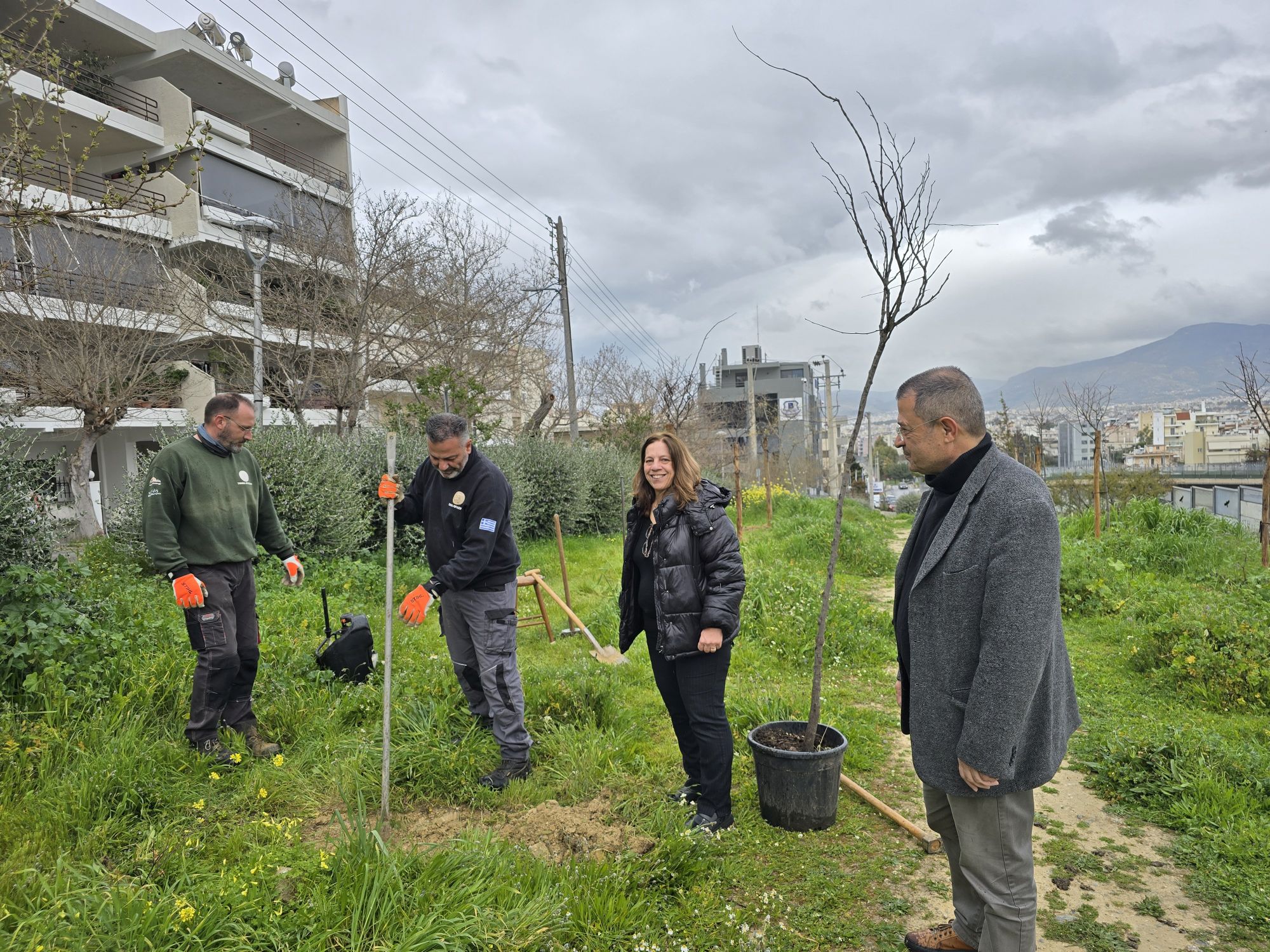 Δενδροφύτευση στην οδό Ορφέως από τον Δήμο Ηρακλείου Αττικής
